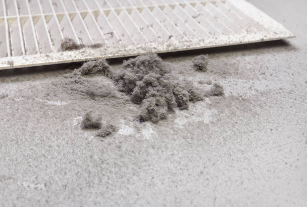 Best Affordable HVAC Duct Cleaning  in Daleville, IN