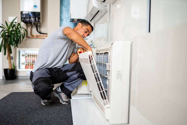 Best Duct Cleaning Specialists  in Daleville, IN