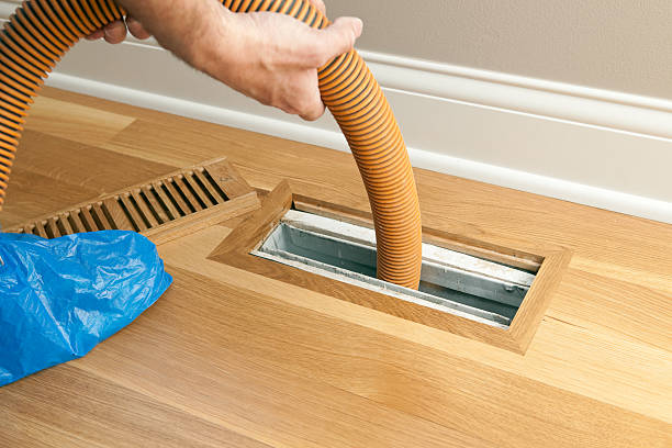 Best Home Air Vent Cleaning  in Daleville, IN