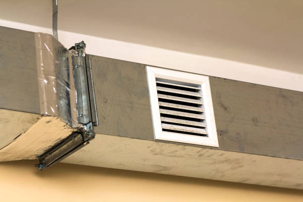 Best Professional Duct Cleaning Services  in Daleville, IN